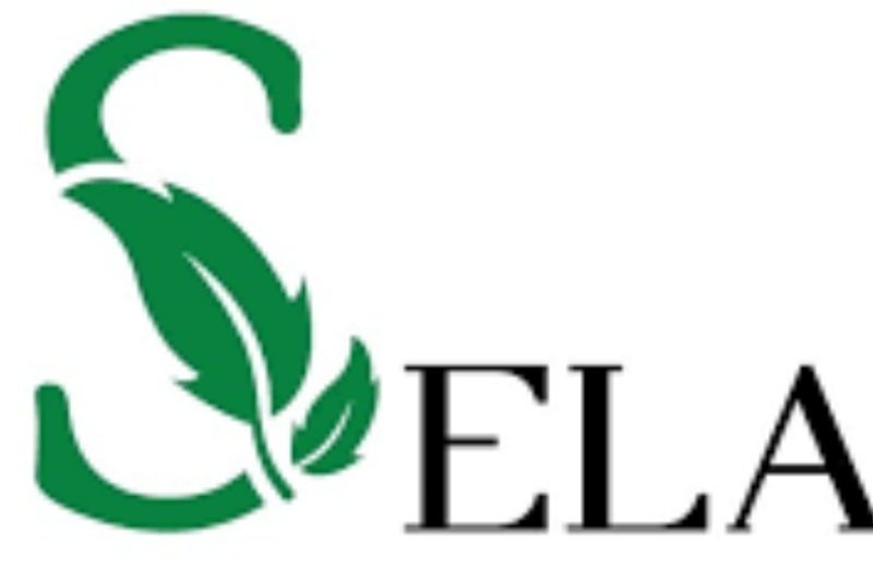 SELA Fellowship 2026 Empowers Africa’s Next Generation of Sustainability Leaders With Practical Skills