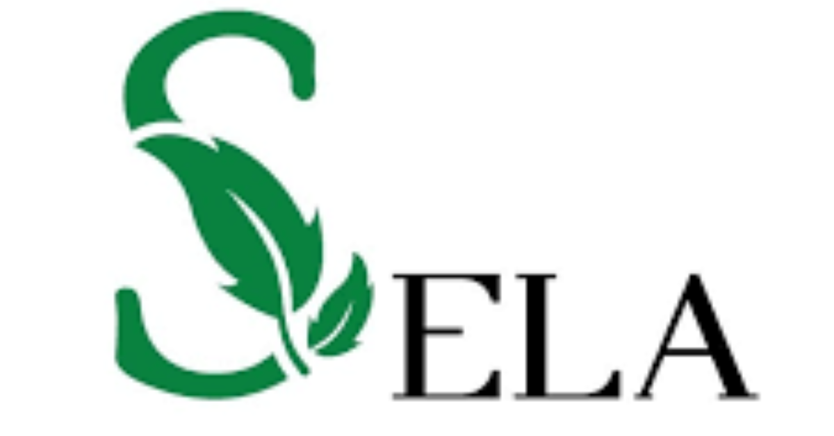 SELA Fellowship 2026
