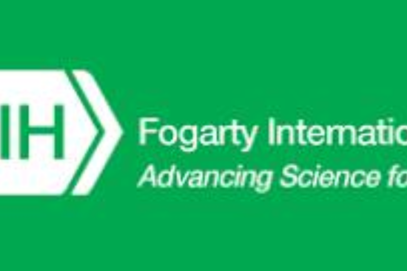 NIH Fogarty