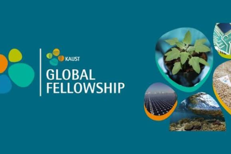 KAUST Global Fellowship 2027: A Postdoc Fellowship Built for Research Ownership