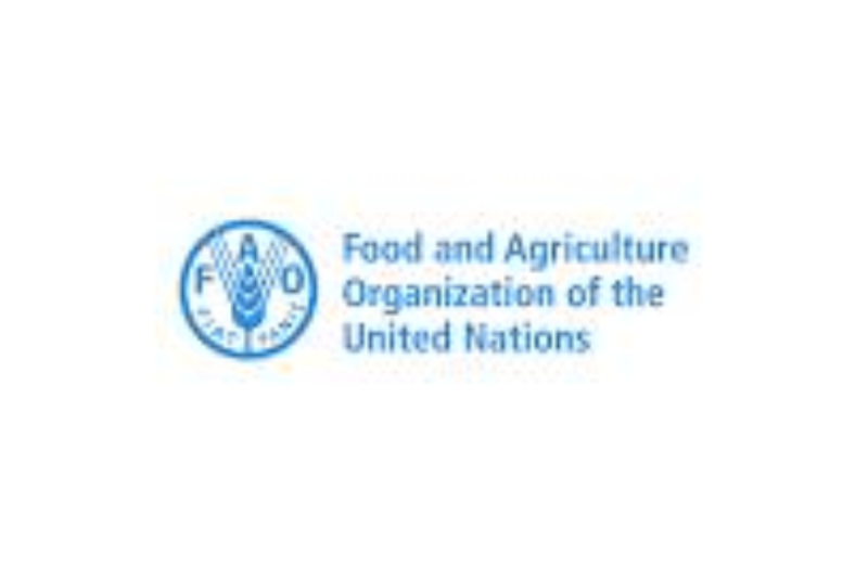 FAO Client Support Assistant Job Opportunity 2026
