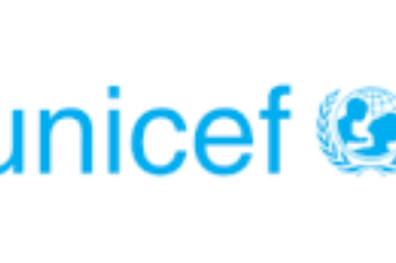 UNICEF Remote Consultancy 2026: Technical Report Writing Consultant