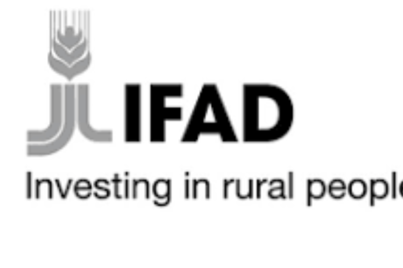 IFAD 11 Entry-Level Jobs 2026: 11 Opportunities for Graduates, Eligibility, Skills and How to Apply