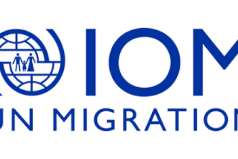 IOM Interpreter (Arabic-French) Job 2026: Short-Term Language and Cultural Mediation Opportunity in Greece