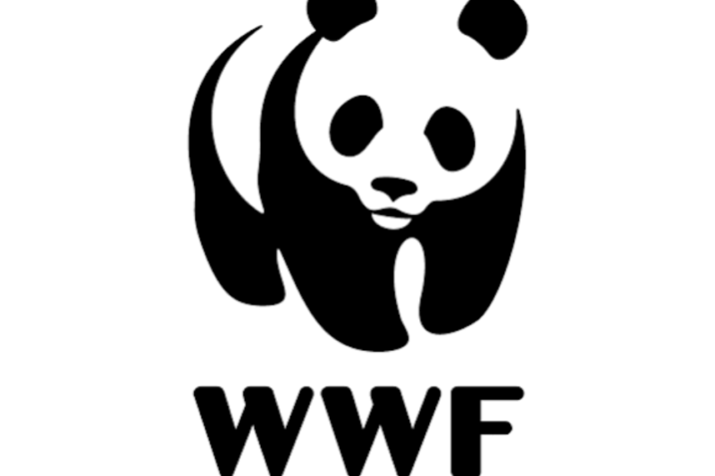 WWF Assistant Job 2026: Salary, Requirements, Responsibilities and How to Apply