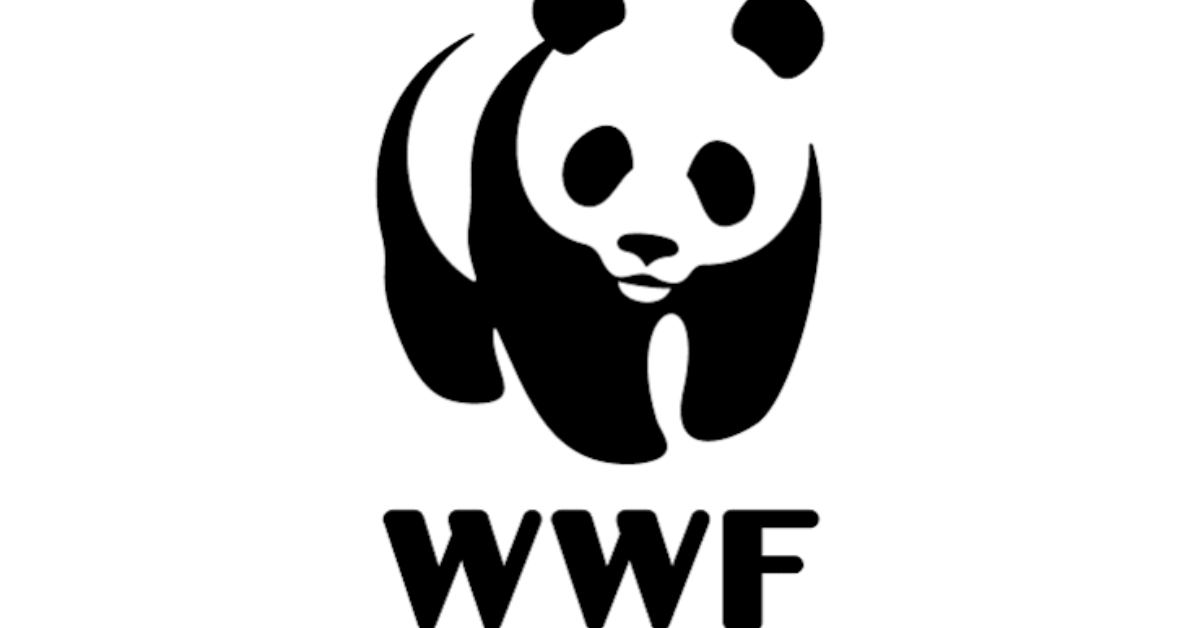 WWF Assistant Job 2026