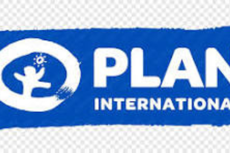 Plan International Careers Include Remote and Hybrid Positions