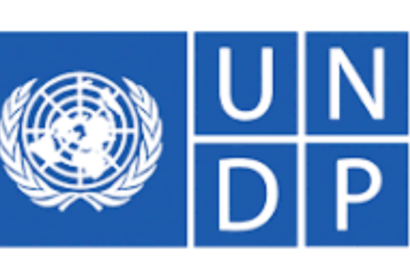 UNDP Is Hiring Project Manager in Remote Area for 2027