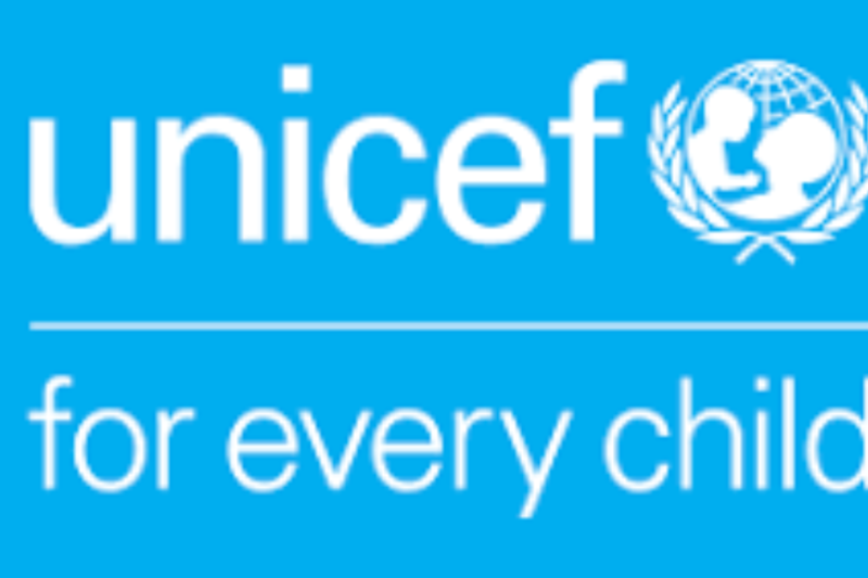 UNICEF Scholarships Supporting Students Interested in Global Development