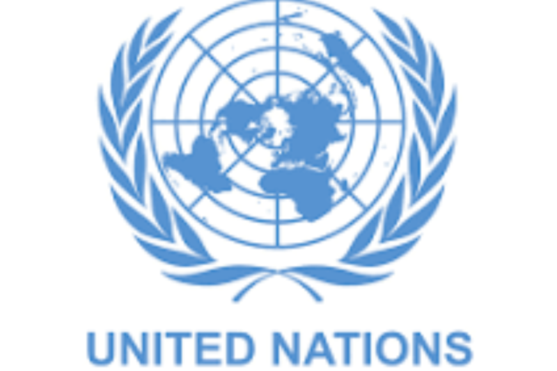 UN Scholarships Helping Students Build International Careers