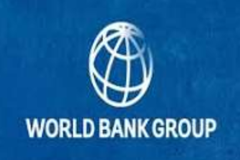 World Bank Group WBG Pioneers Is a Premier Internship Program for Undergraduate and Postgraduate Students