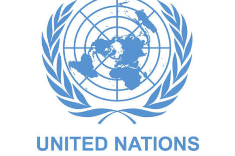 How to Land an Internship in 2026 at the United Nations Without Connections: Hurry