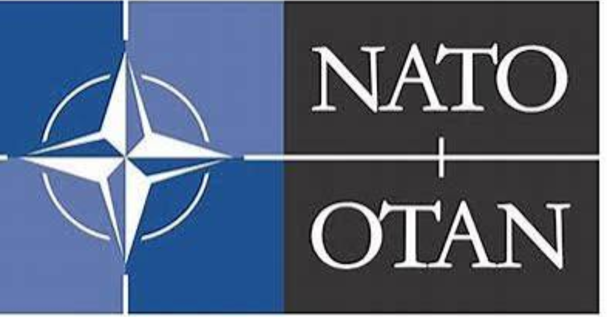 NATO Internship