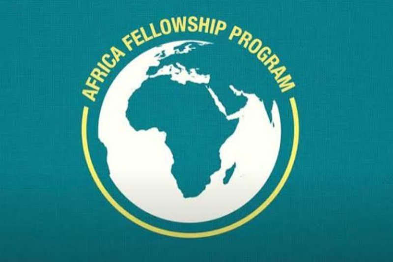 SEO London Africa Fellowship 2027: Applications Close October 31