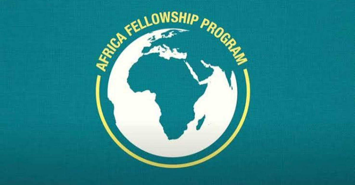 SEO London Africa Fellowship 2027