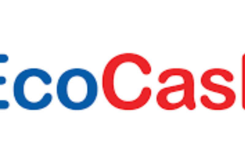 EcoCash Jobs in Zimbabwe: Brand Manager and General Manager Roles Closing September 25