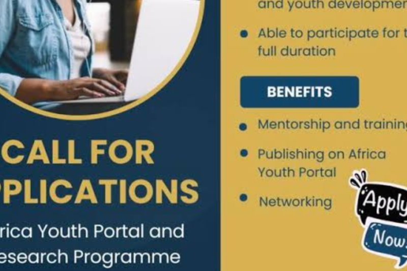 SAIIA Africa Youth Portal & Research Programme 2027: Fully Funded Research Training in South Africa