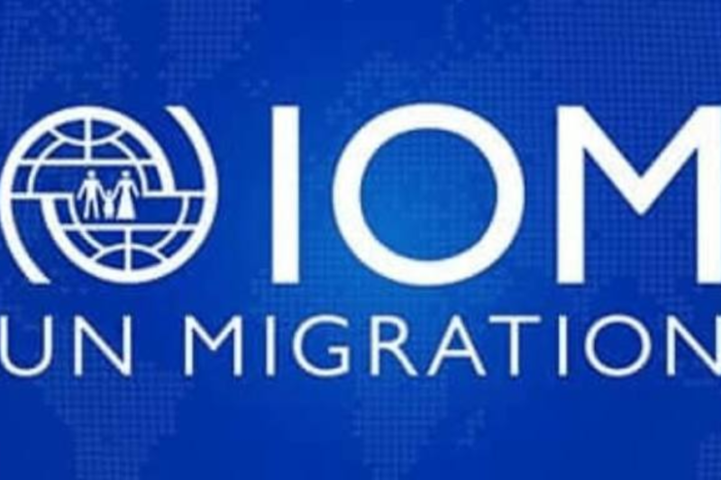 IOM Internship Job 2026: Labour Mobility and Resettlement Opportunity
