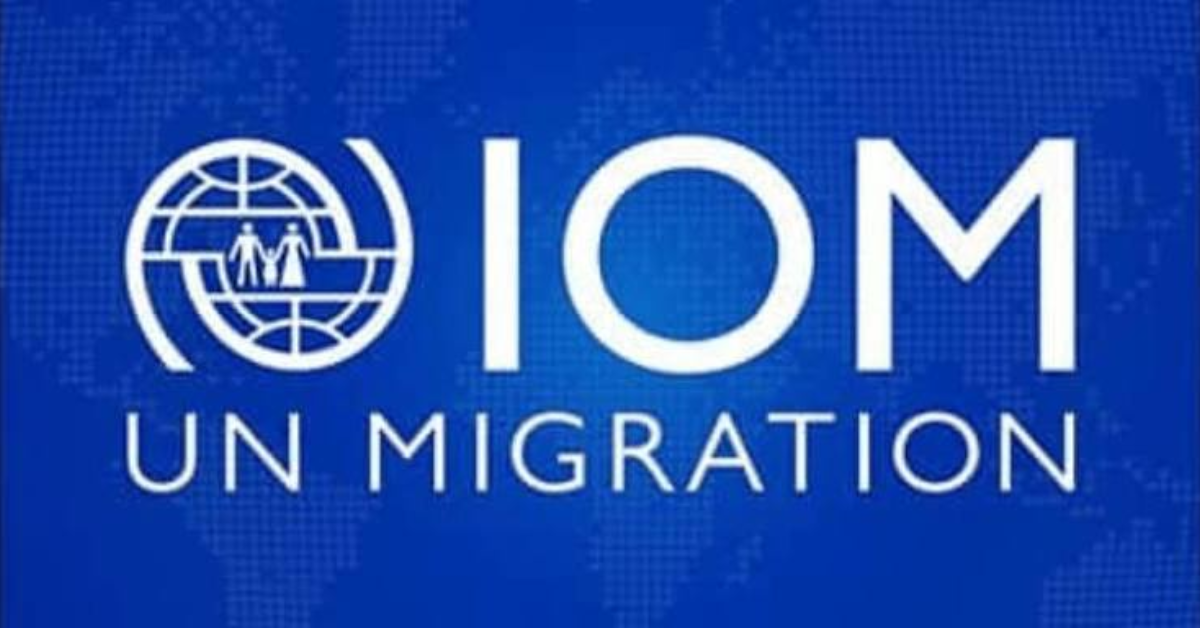 IOM Internship Job 2026