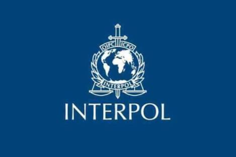 INTERPOL Internship Job 2027: Legal Support to Programmes Opportunity in Lyon