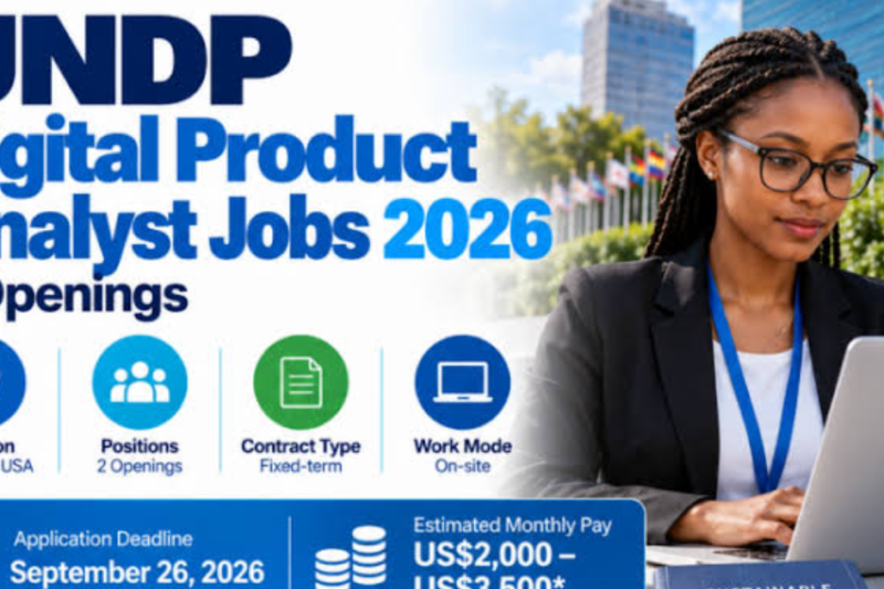 UNDP Digital Product Analyst Job 2026: Opportunity in Moldova