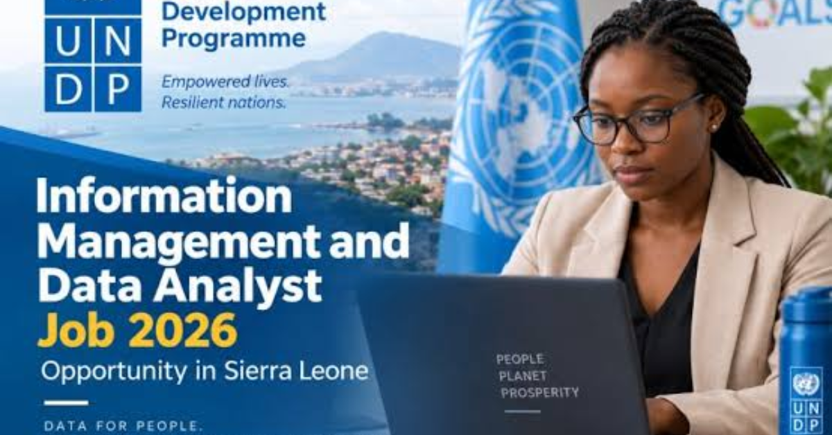 UNDP Information Management and Data Analyst Job 2026