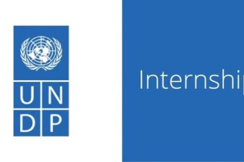 UNDP Home-based Internship Job 2026: Media and Communications Internship Opportunity