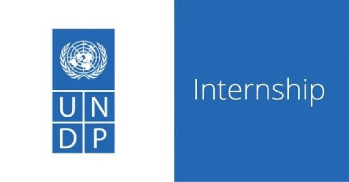 UNDP Home-based Internship Job 2026