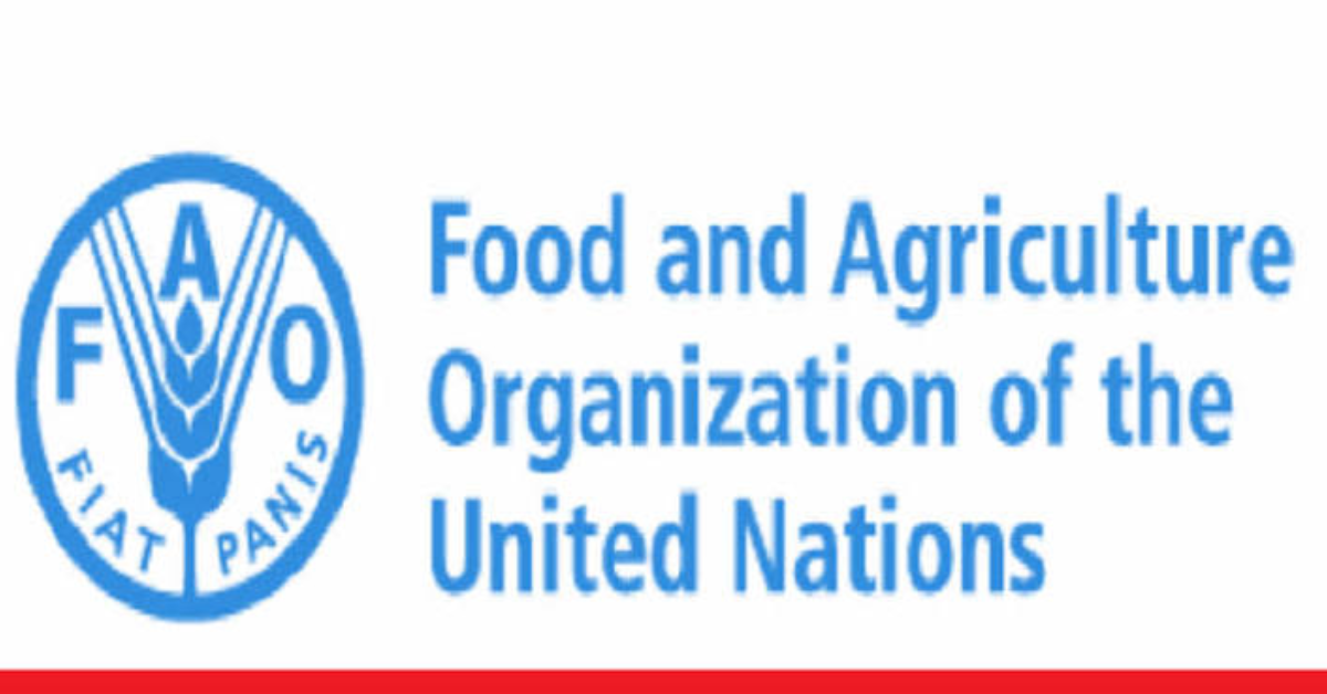 FAO Regular Volunteer Programme 2026–2027