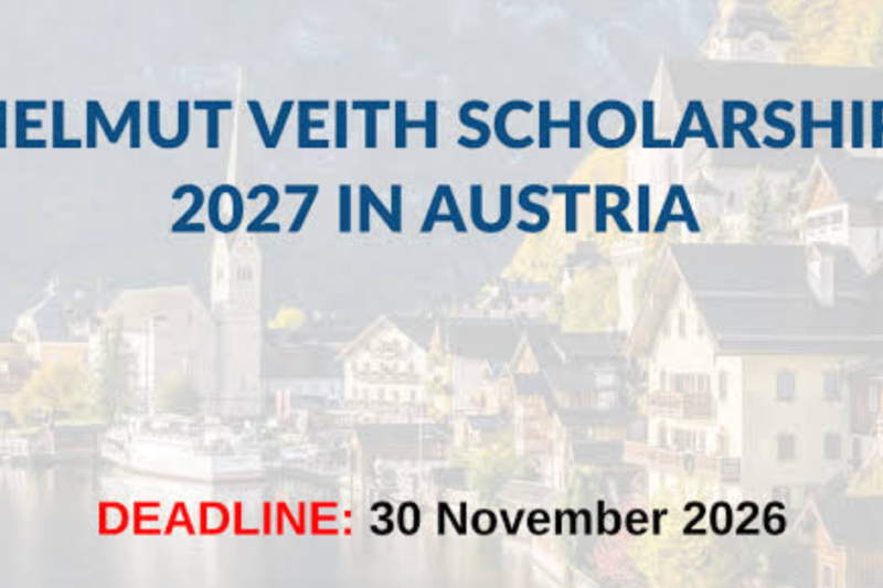 Helmut Veith Scholarship 2027 in Austria