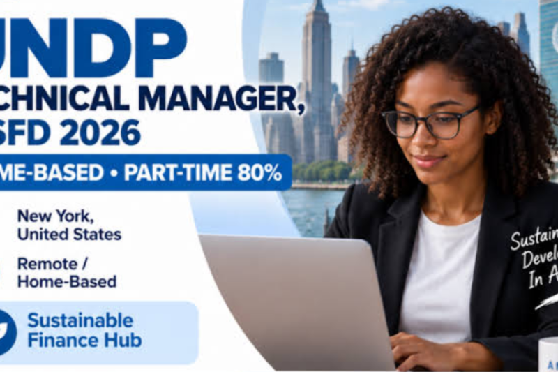 UNDP Technical Manager, TISFD 2026: Home-Based Part-Time Role in New York