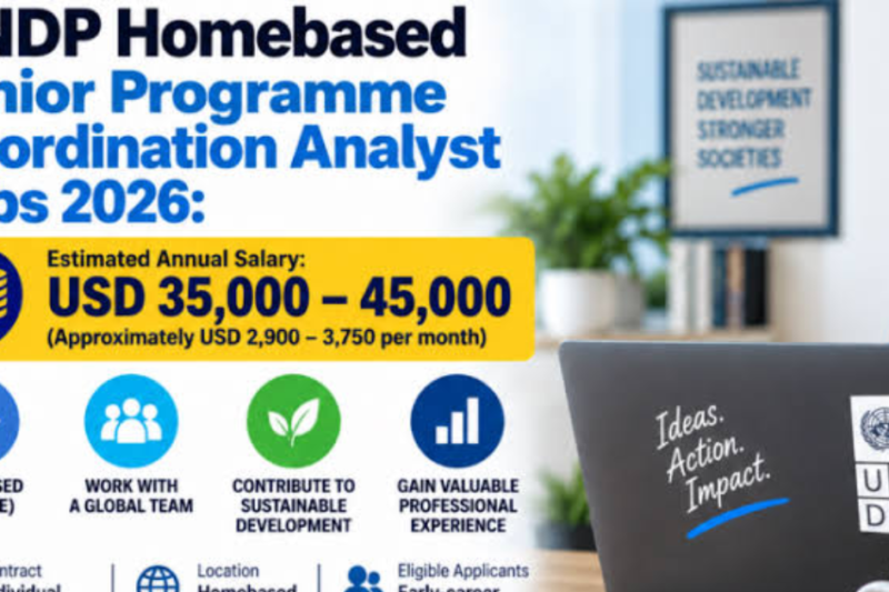 UNDP Junior Programme Coordination Analyst – Home-Based 2026: Apply with a Master’s Degree or Bachelor’s + 2 Years’ Experience