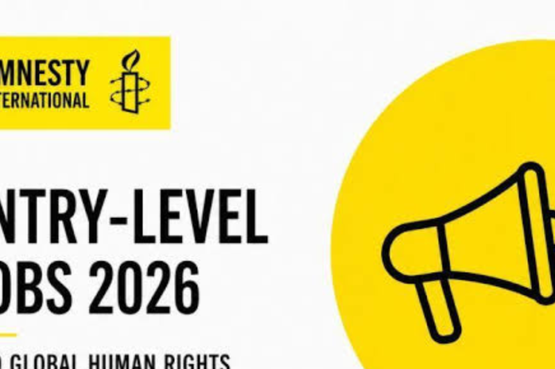 Amnesty International Entry-Level Job 2026: Programme Officer Job 2026
