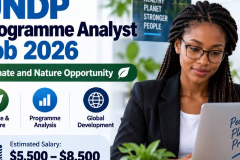 UNDP Programme Analyst Job 2026: Climate and Nature Opportunity