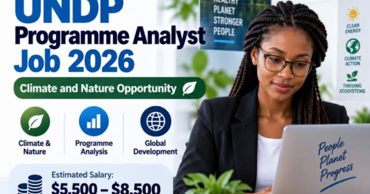 UNDP Programme Analyst Job 2026