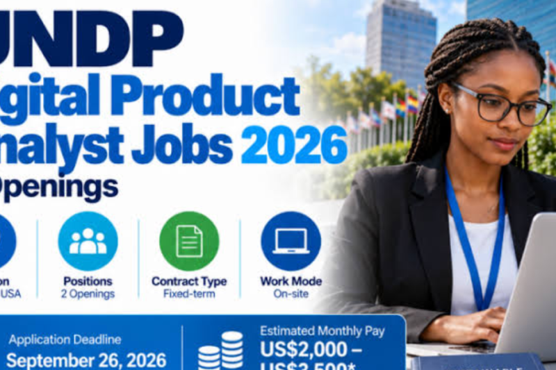 UNDP Digital Product Analyst Jobs 2026: 2 Openings in Moldova