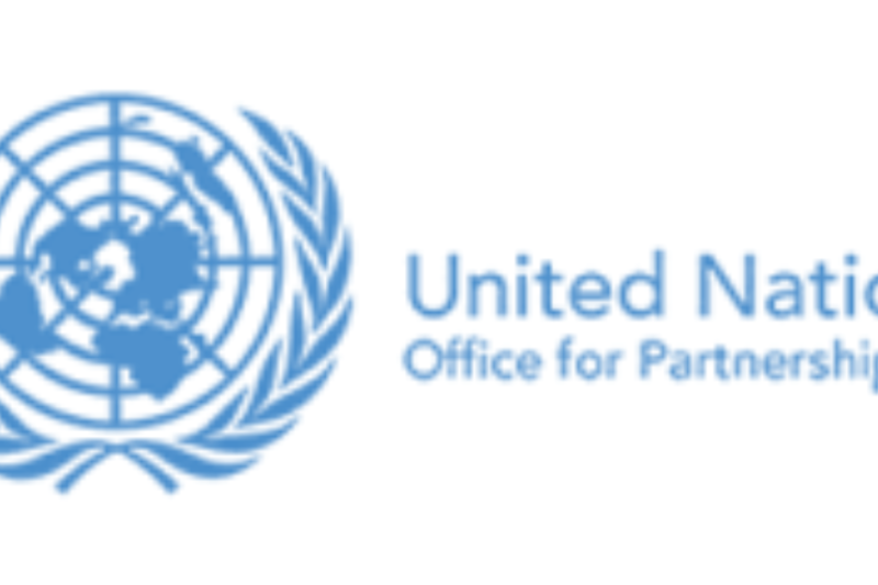 UN Partnerships Officer, NO-C | Kingston, Jamaica | Deadline 15 September 2026