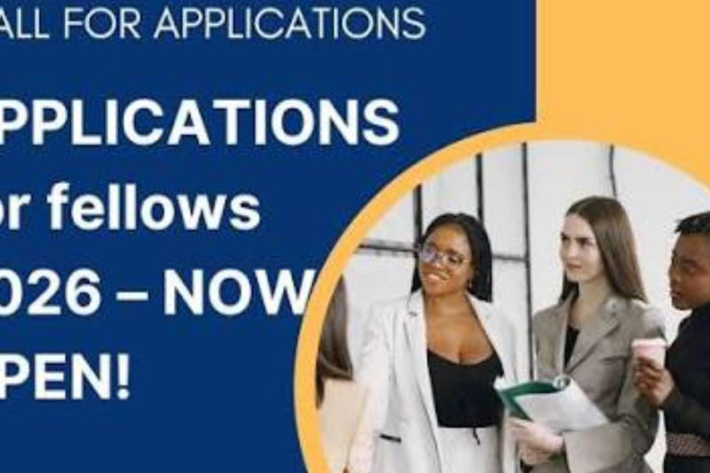 Call for Applications: Electoral Integrity Project Fellowship Program 2027