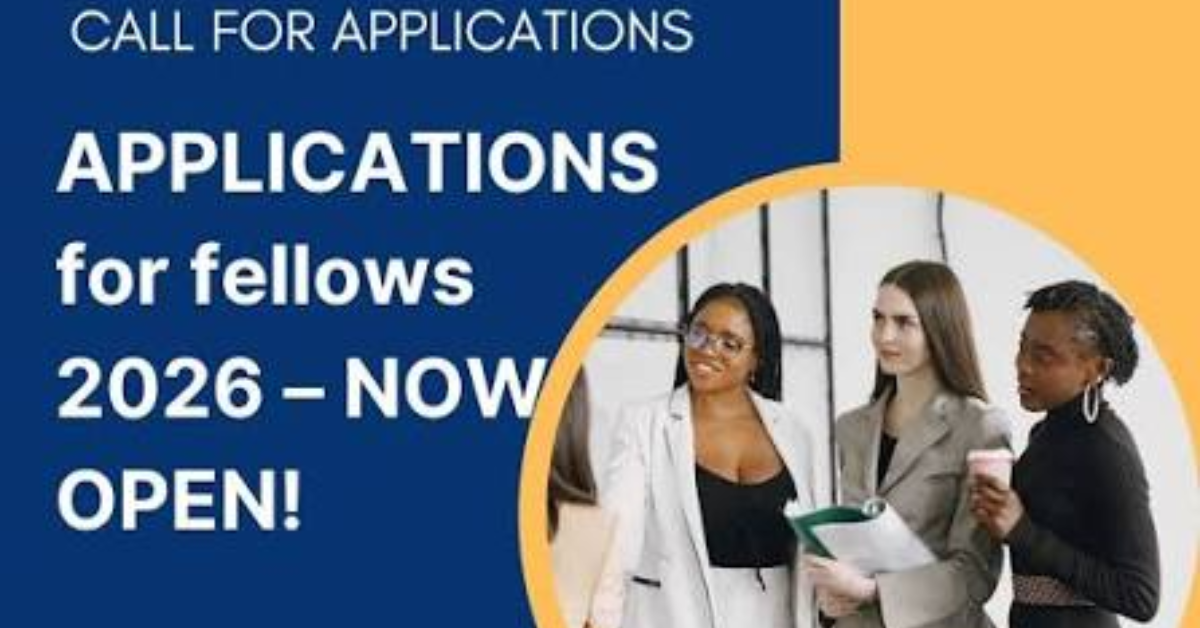 Call for Applications: Electoral Integrity Project Fellowship Program 2027