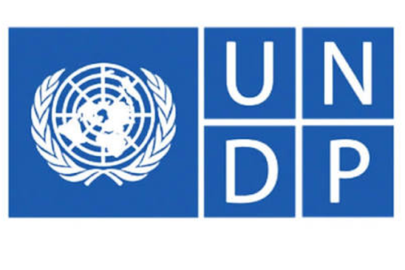 Coordinador/a de Proyectos (Abierto a candidatos internos y externos) UNDP jobs
