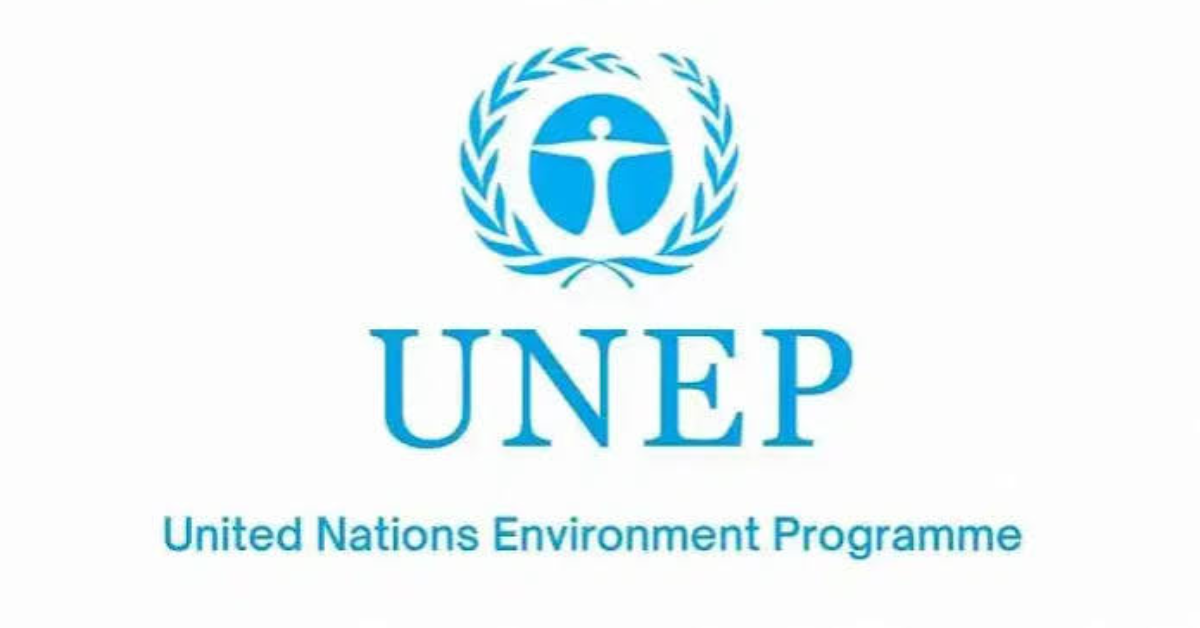 Intern for communications and knowledge management:2026 UNEP Jobs