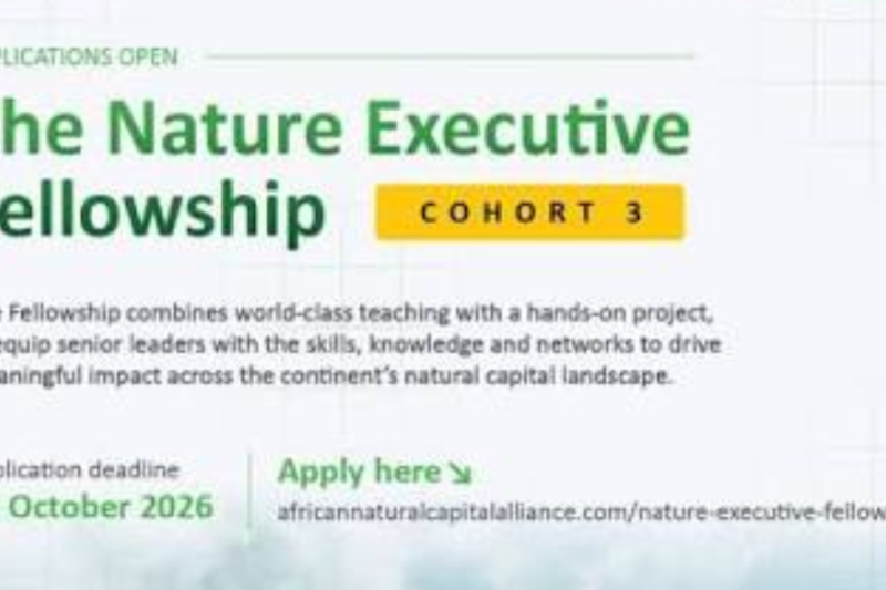 Nature Executive Fellowship 2026: Applications Close 22 October