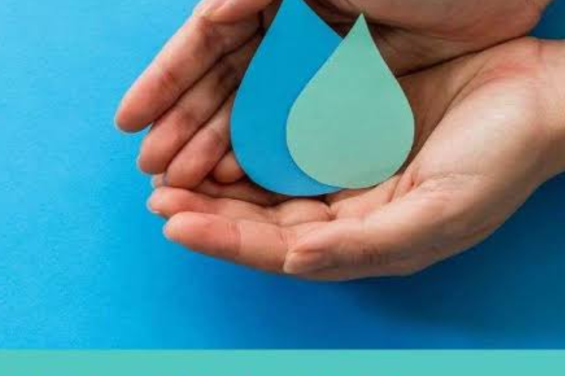 Free UN Diploma in Freshwater Resources: Complete 3 Online Courses and Earn an InforMEA Diploma