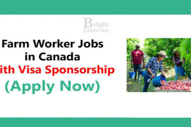 Farm Worker Jobs in Canada 2026 For Foreign Candidates