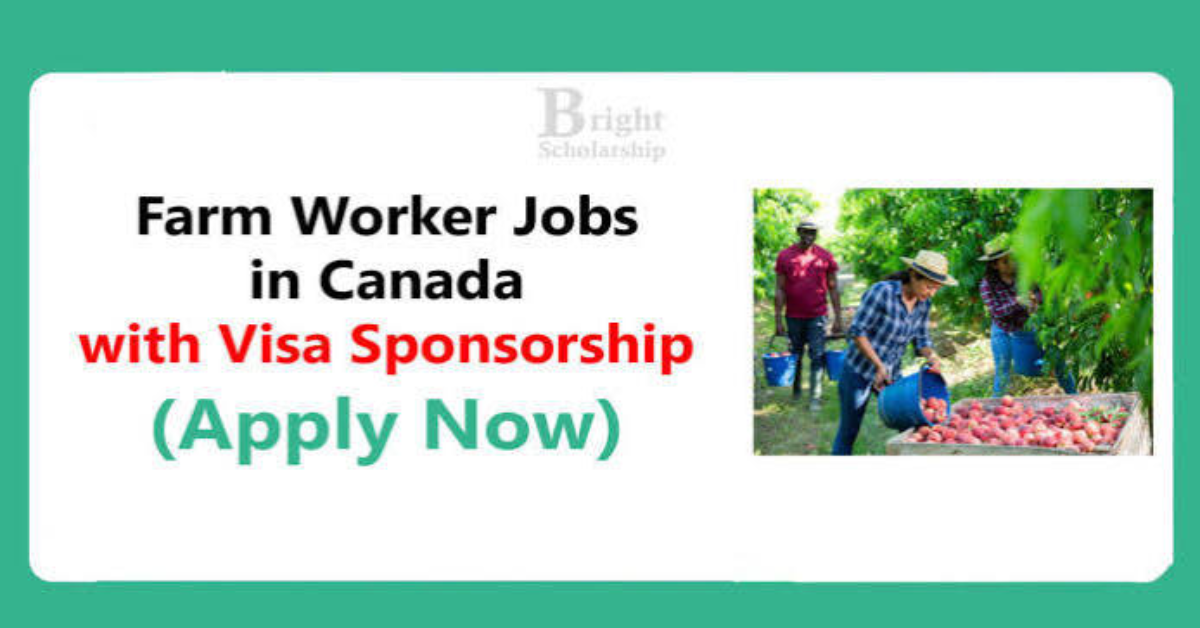 Farm Worker Jobs in Canada 2026 For Foreign Candidates