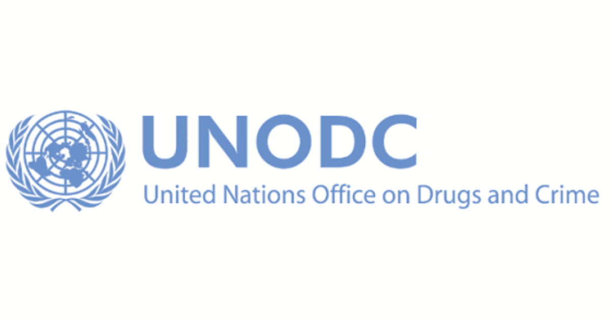 UNODC Cybercrime Investigation Consultant