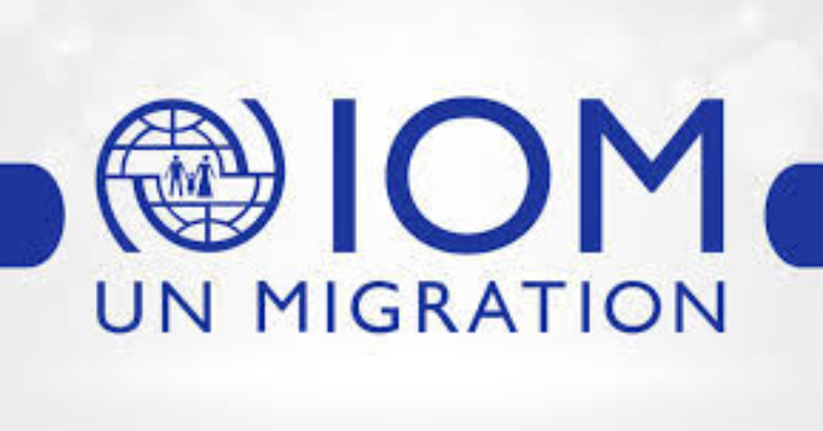 IOM Health Assessment Consultancy