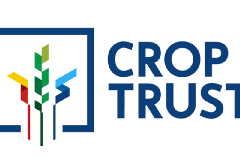 Crop Trust Educational Consultant 2026: Six-Month Remote Opportunity Closes October 29