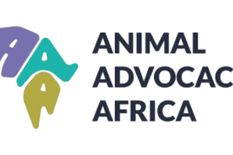 Animal Advocacy Africa Programme Manager: Remote Opportunity Closes October 25