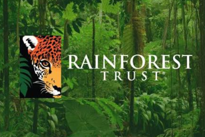 Rainforest Trust Conservation Grants Associate: Remote Opportunity Closes October 31
